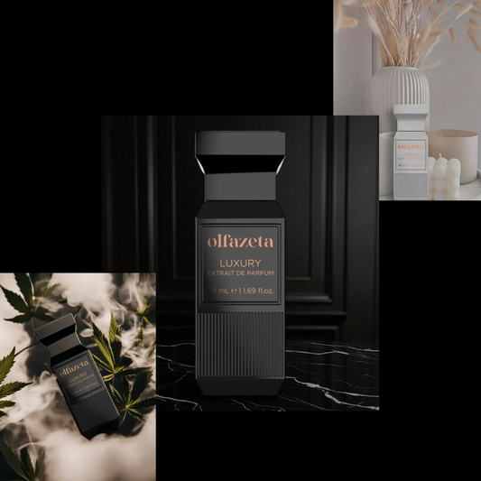 Top Unisex Fragrances With Serious Longevity — A Guide by The Hoevianenoir