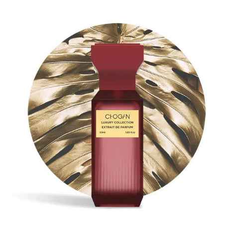 Hoeviane Noir Nr 118 inspired by Baccarat Rouge 540 perfume bottle in 50ml with elegant design and luxurious packaging.